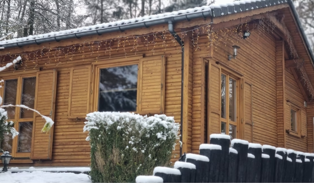 Casa acogedora típica de madera