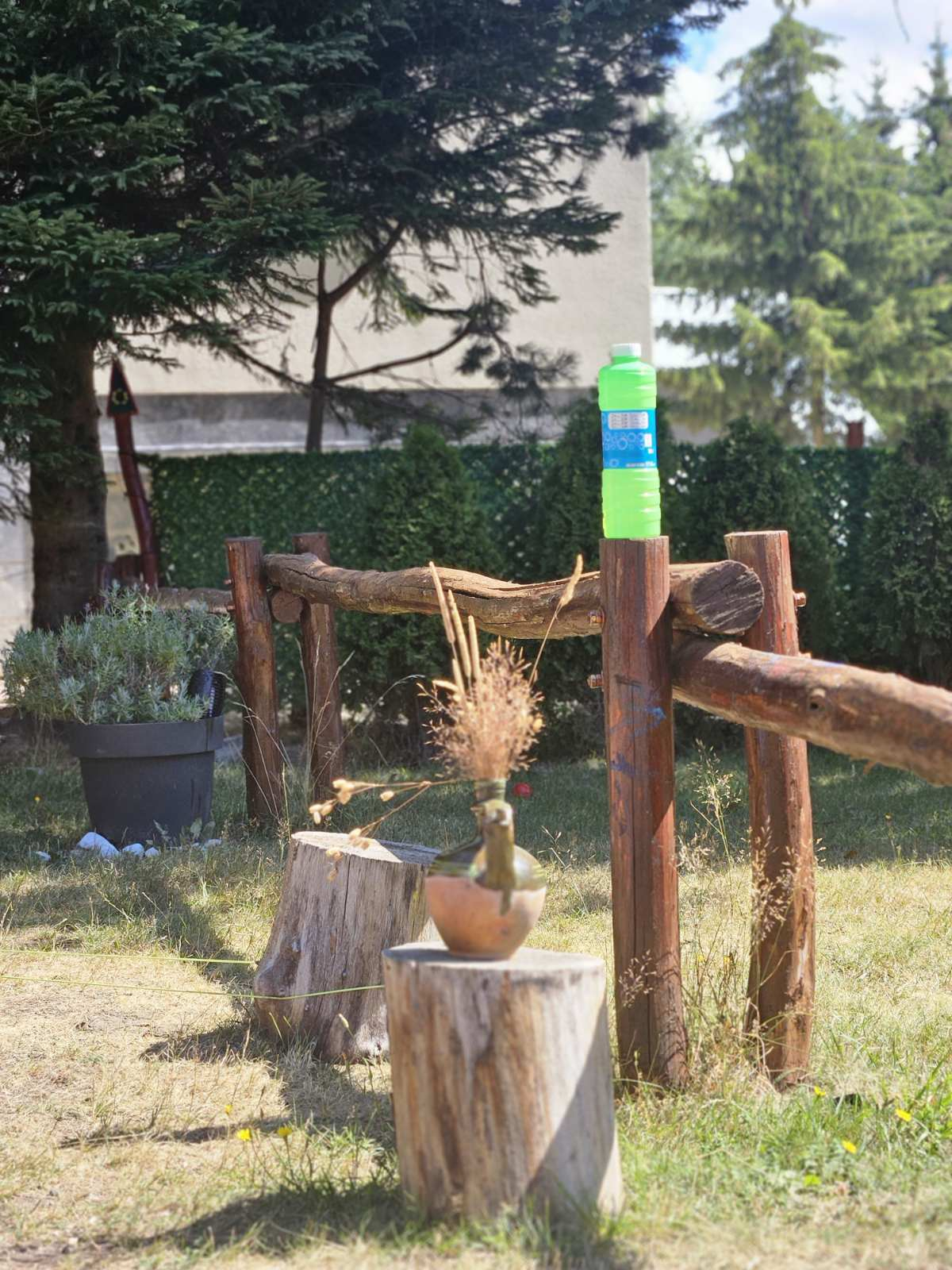 Mountain House Pine