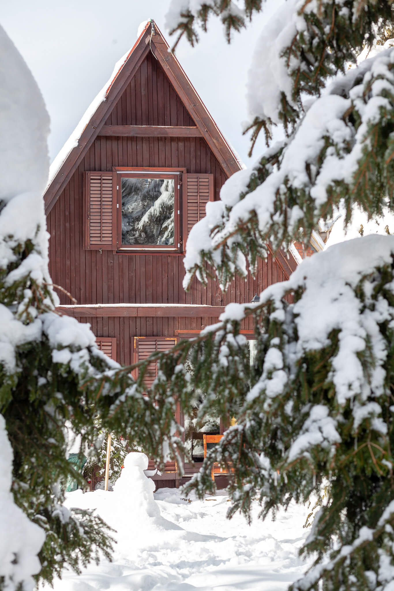 Mountain House Pine