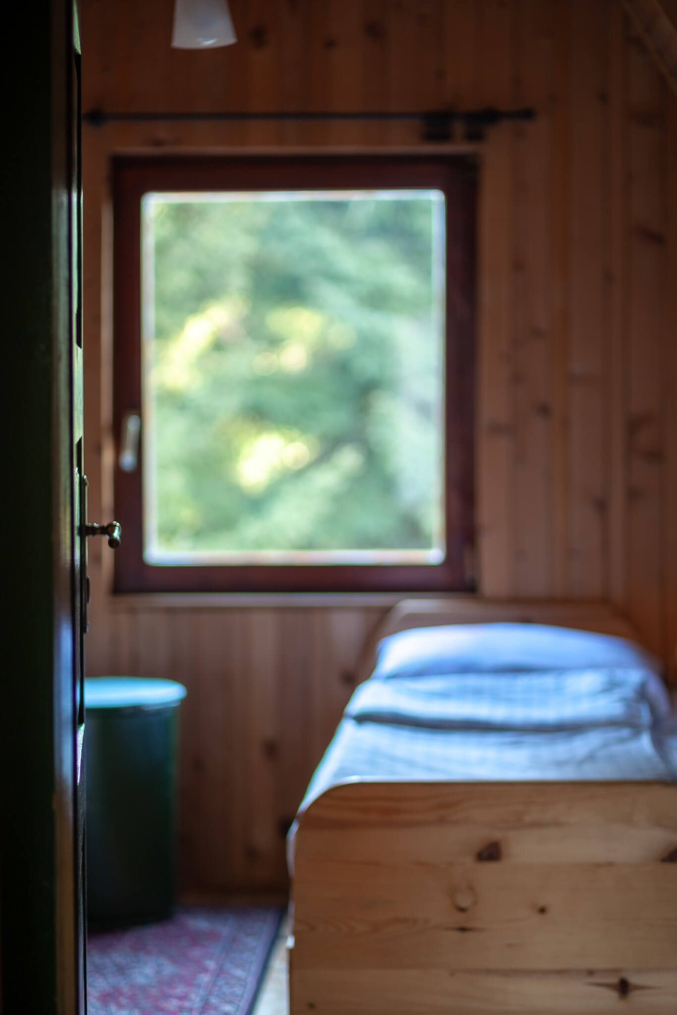Mountain House Pine