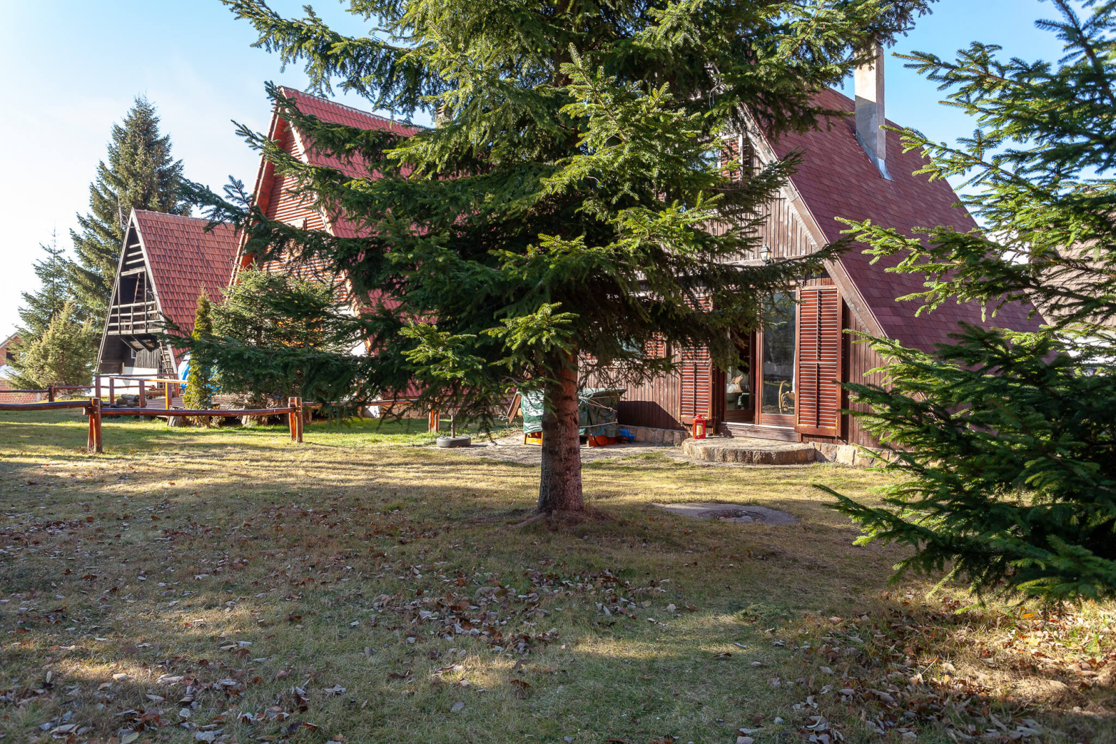 Mountain House Pine