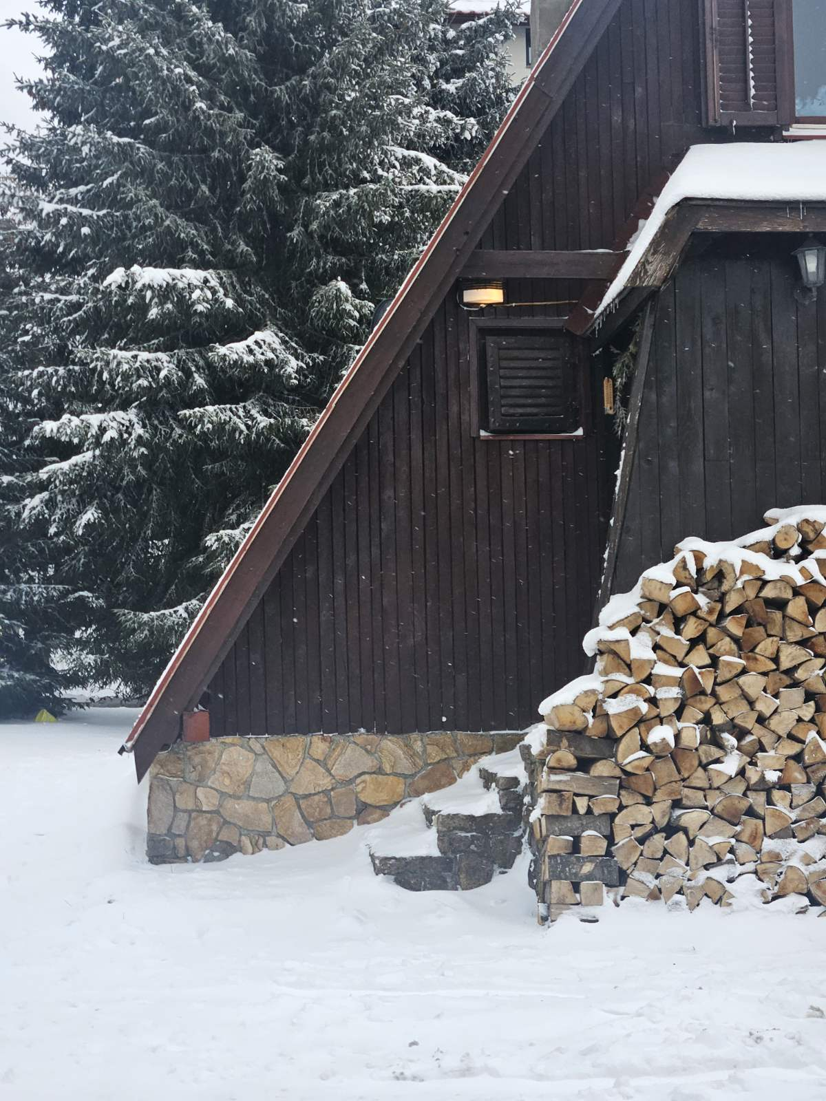 Mountain House Pine