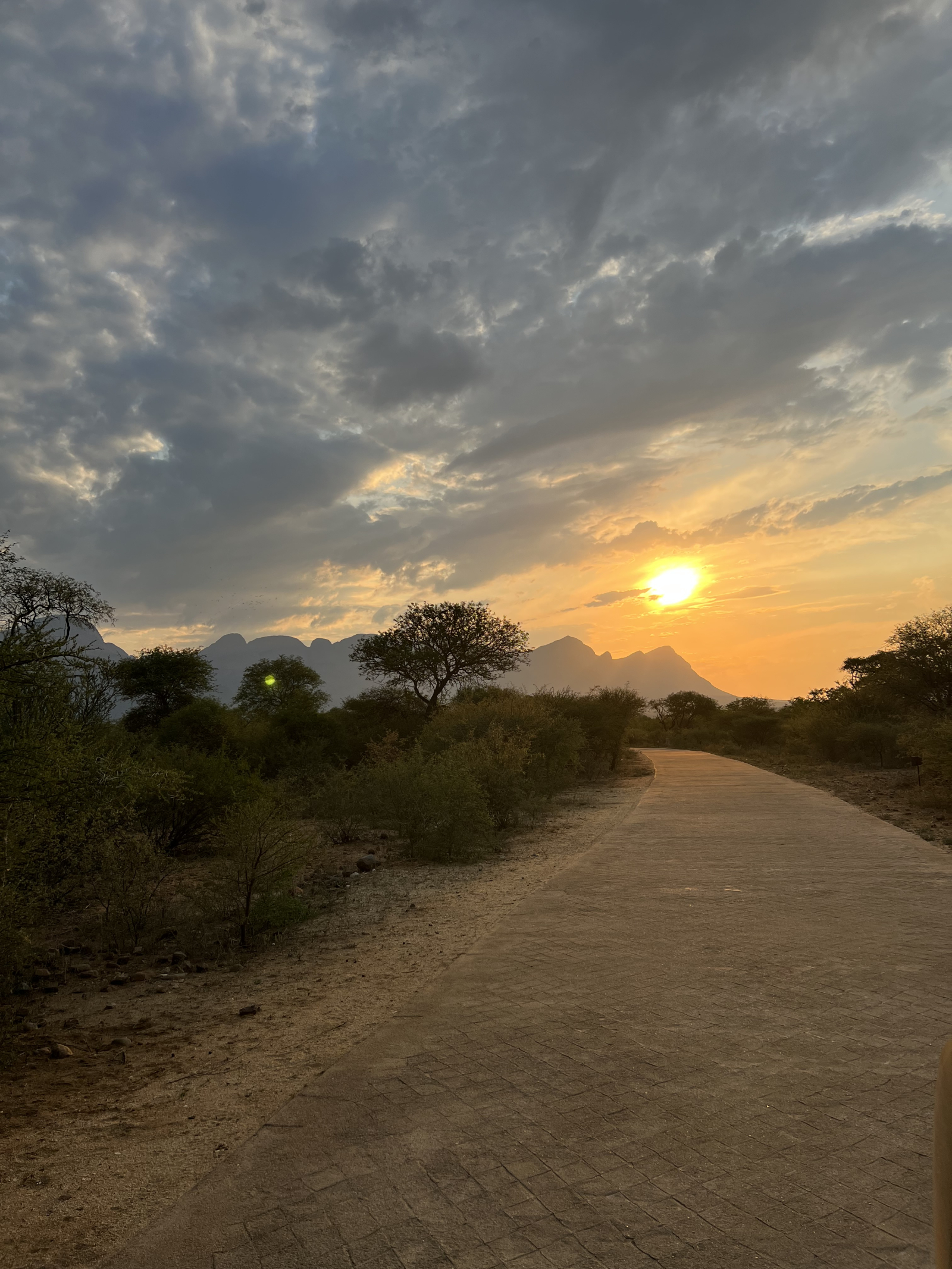 Peace and Tranquility in the Bush