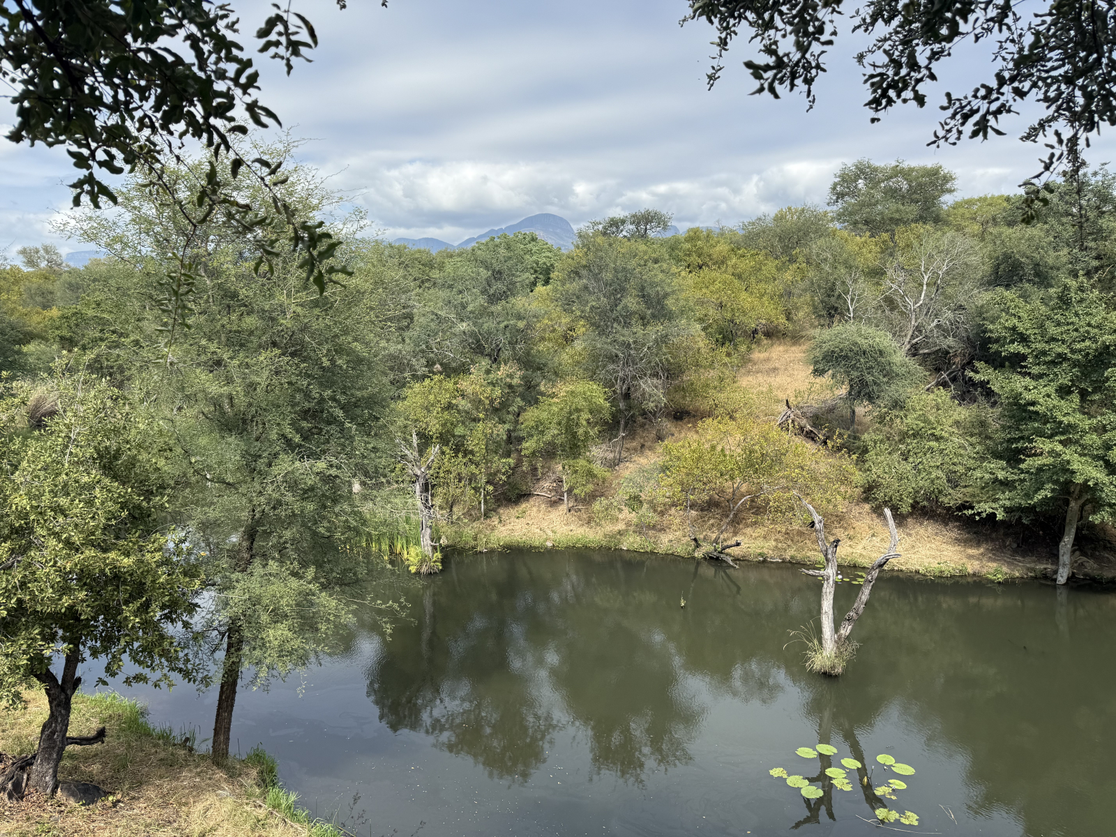 Peace and Tranquility in the Bush