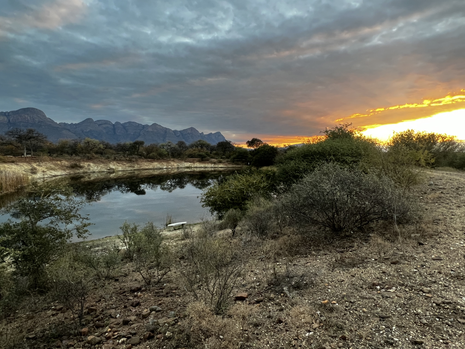 Peace and Tranquility in the Bush