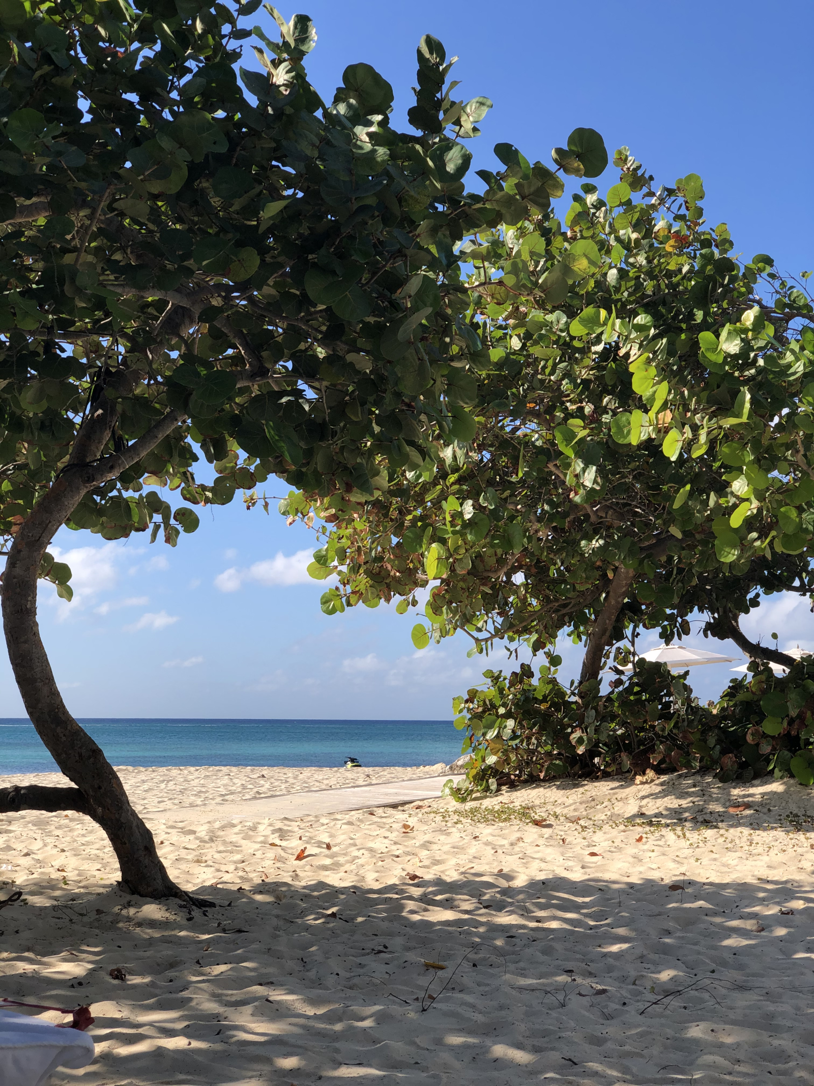 Charming Caribbean House in The Cayman Islands, walking distance to the beach with lush garden