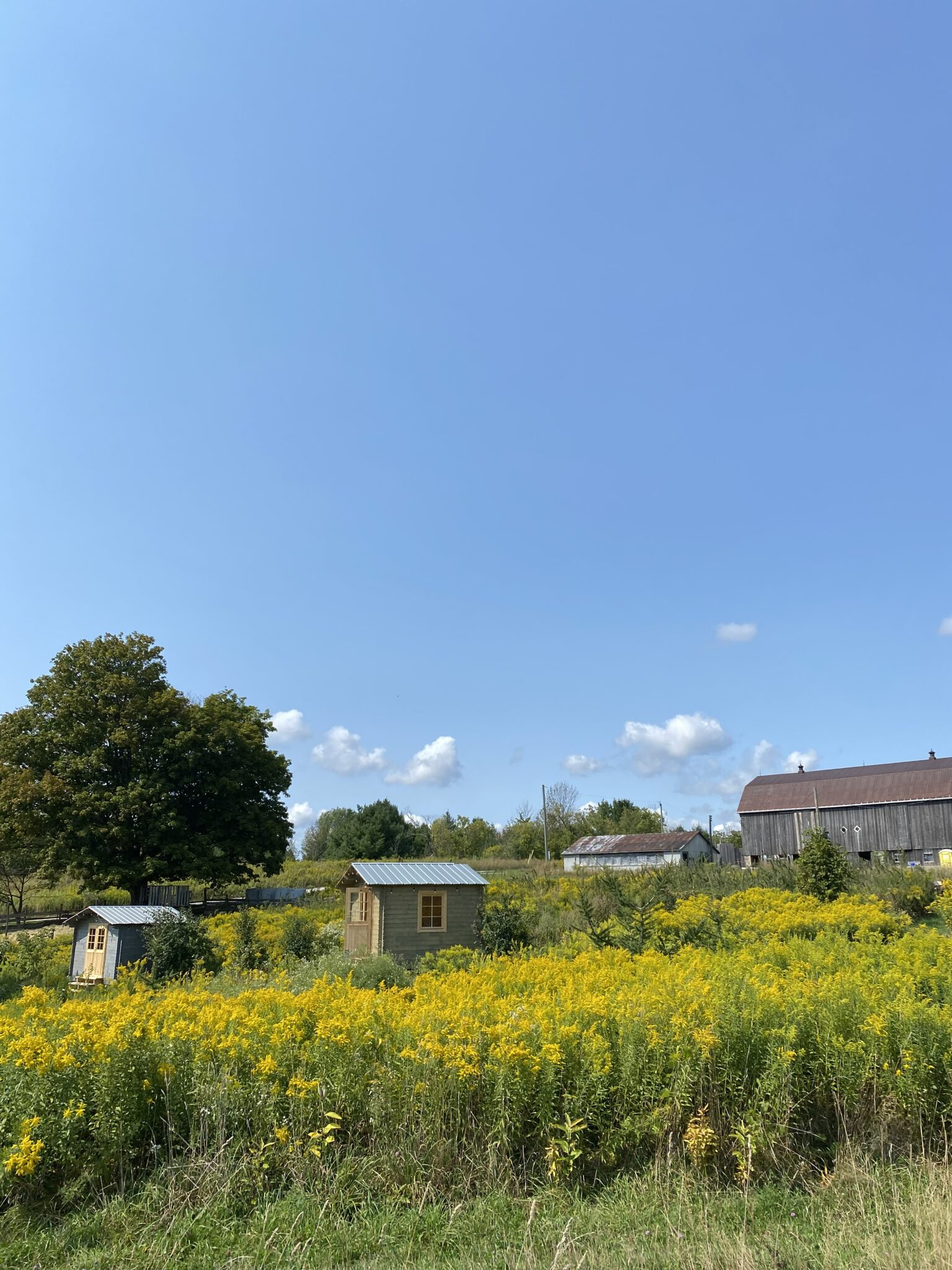 Regeneratieve boerderij verblijf in een hut
