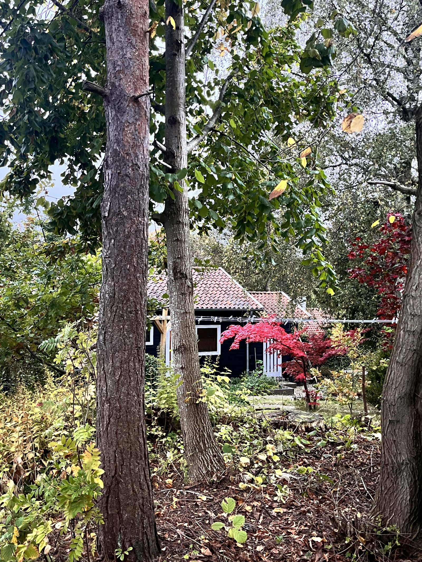 Cozy family house near city and nature