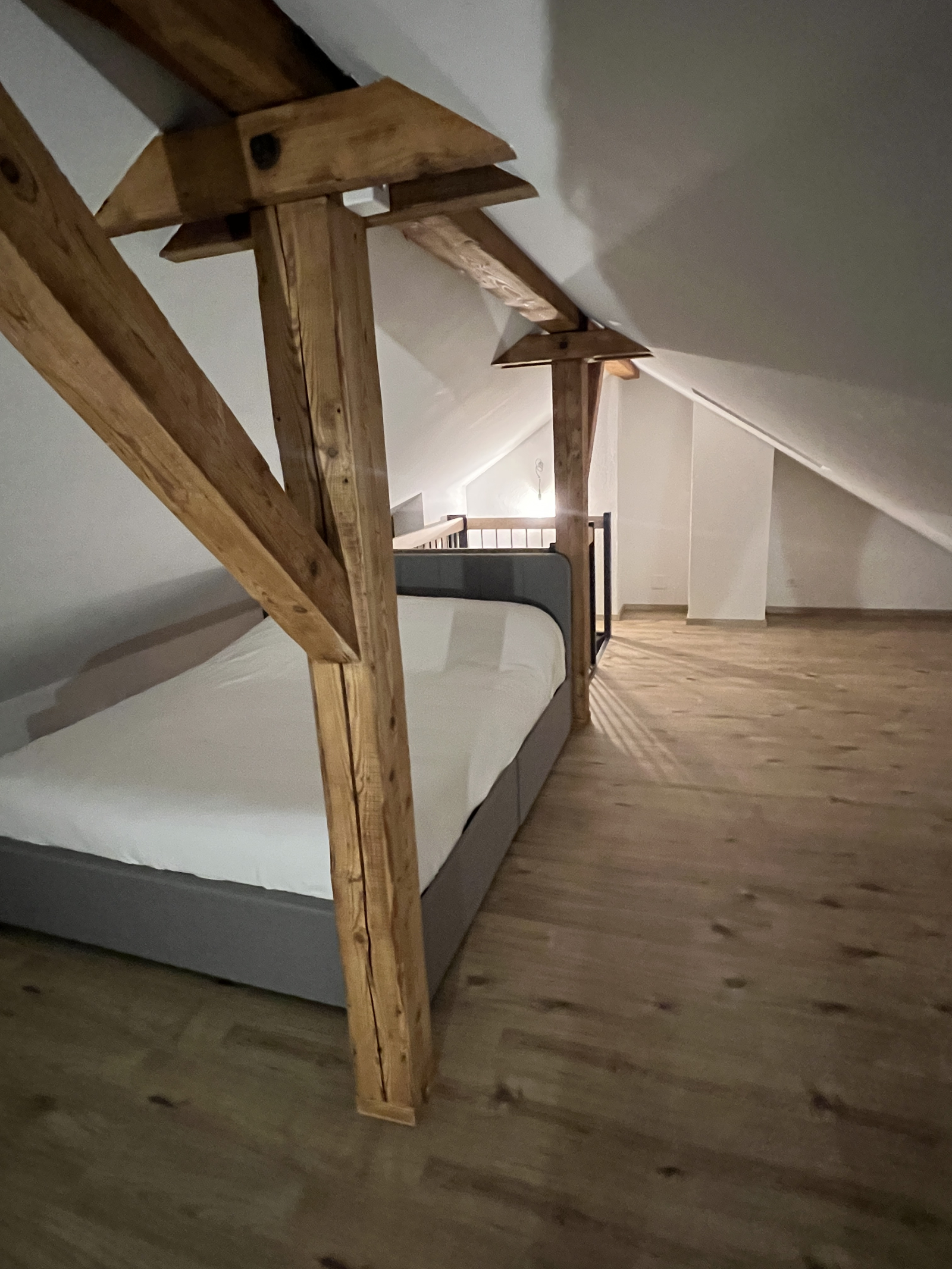 Bright and spacious apartment in beautiful Bern, close to nature and hiking trails