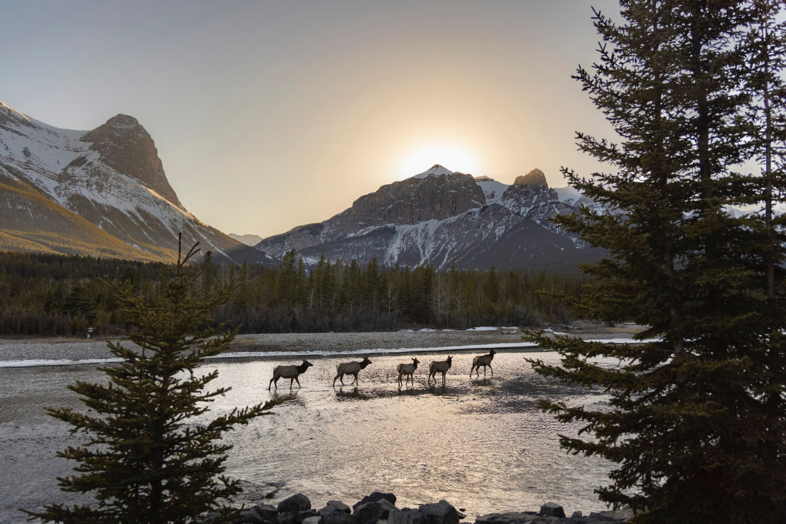 Canmore Family Home