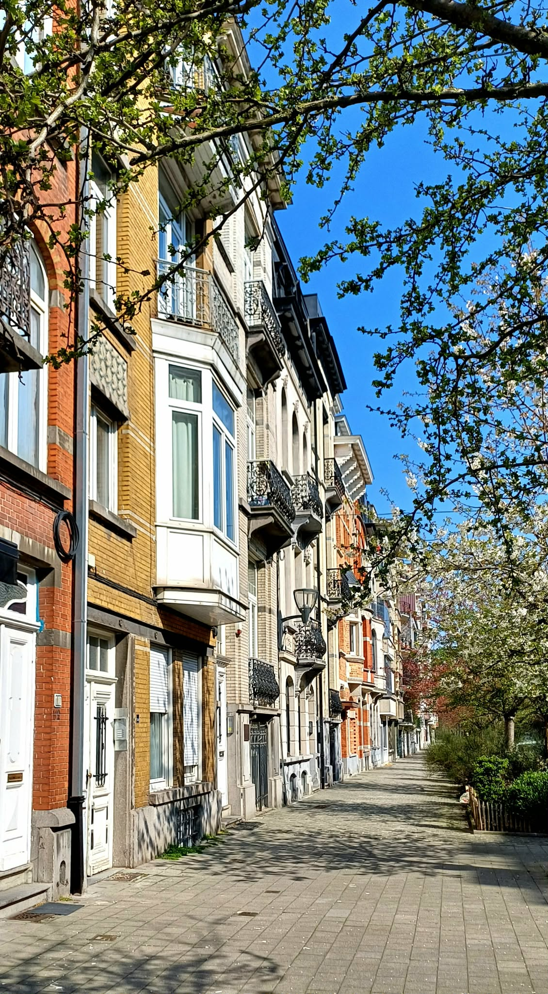 Explora Bruselas desde nuestro amplio piso Art Decó en un animado barrio *¡más fotos próximamente!*