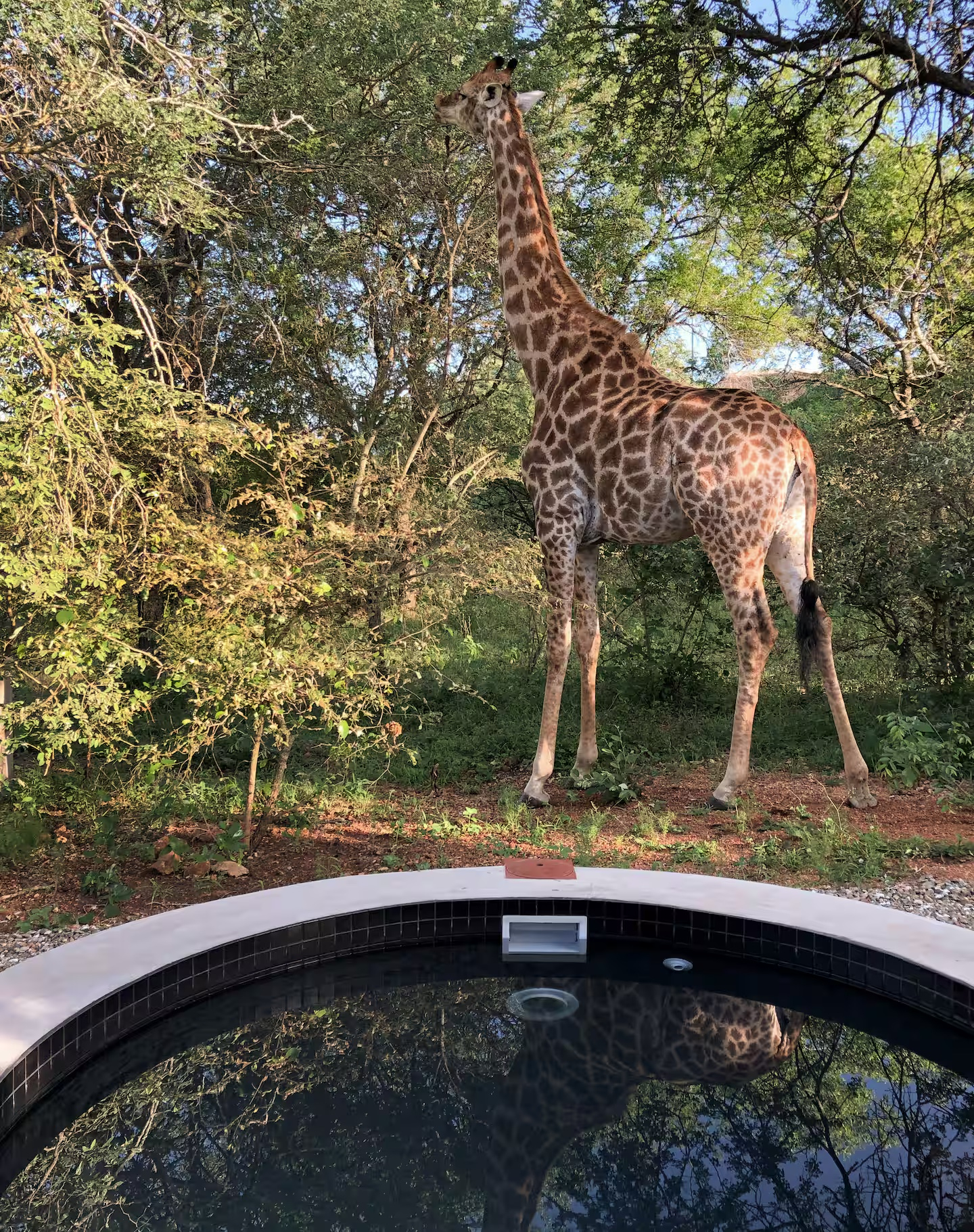 small safari house in South Africa
