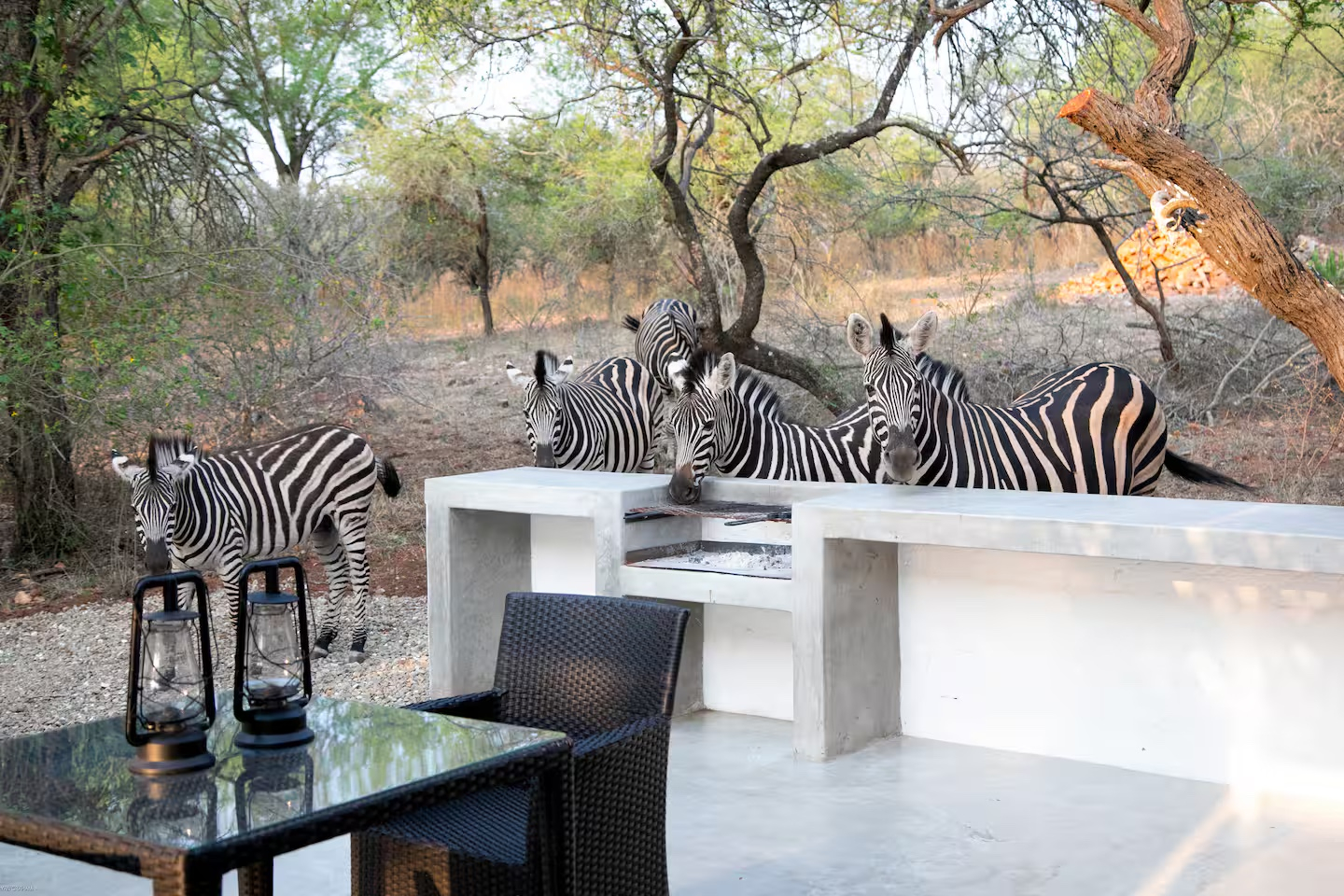 small safari house in South Africa