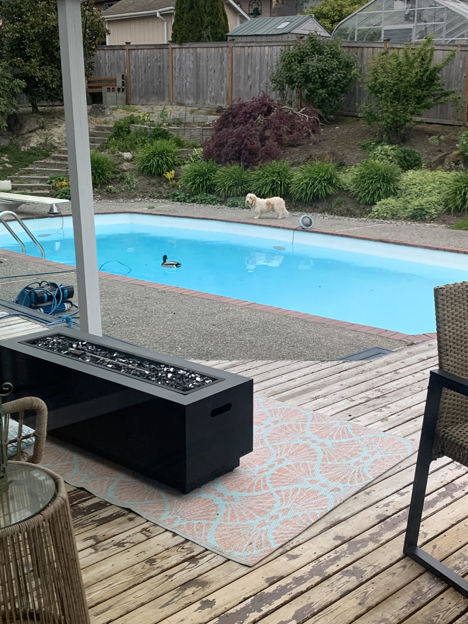 Heated in-ground pool and the deck before it was repainted.