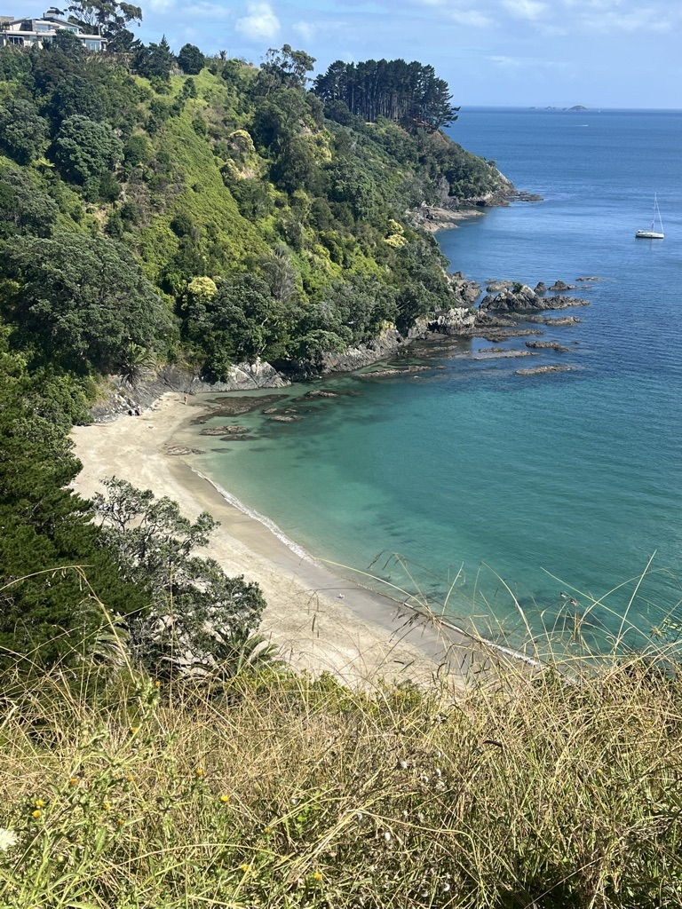Walk to Palm Beach on magical Waiheke Island