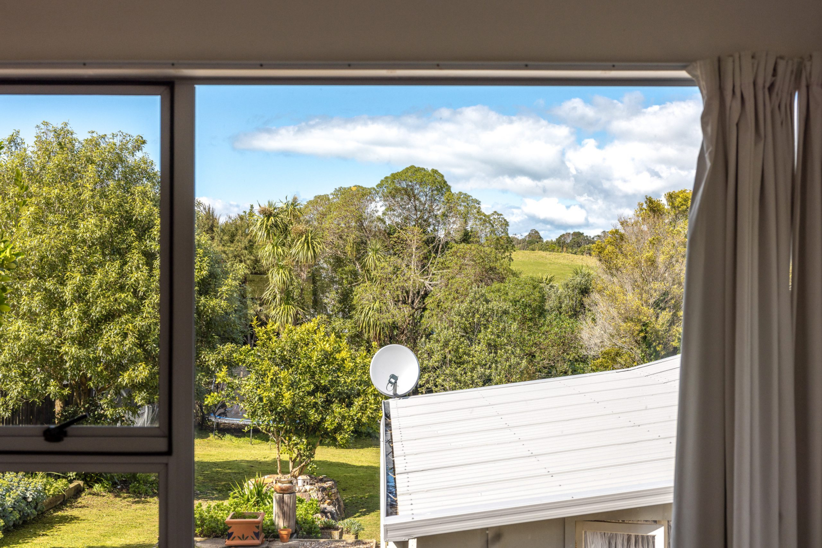 Walk to Palm Beach on magical Waiheke Island