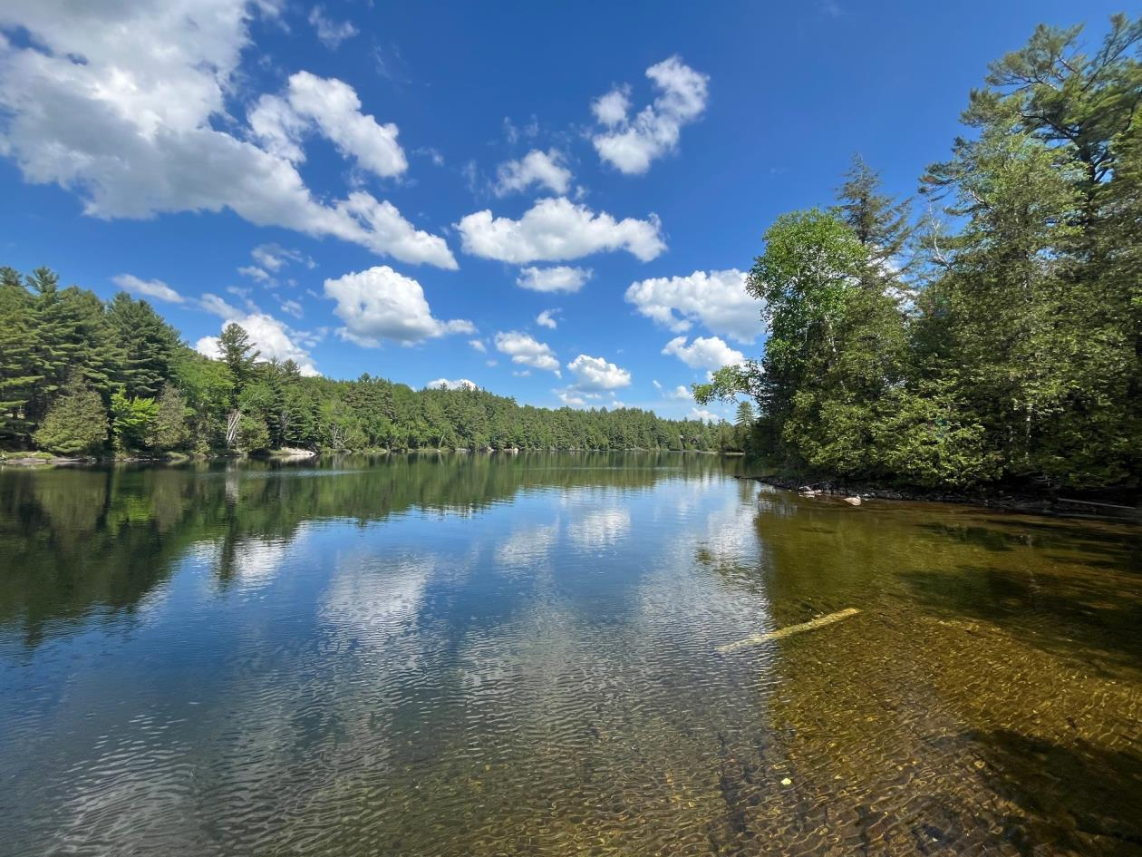 Loons at Dawn — A Lakeside Log Home Retreat