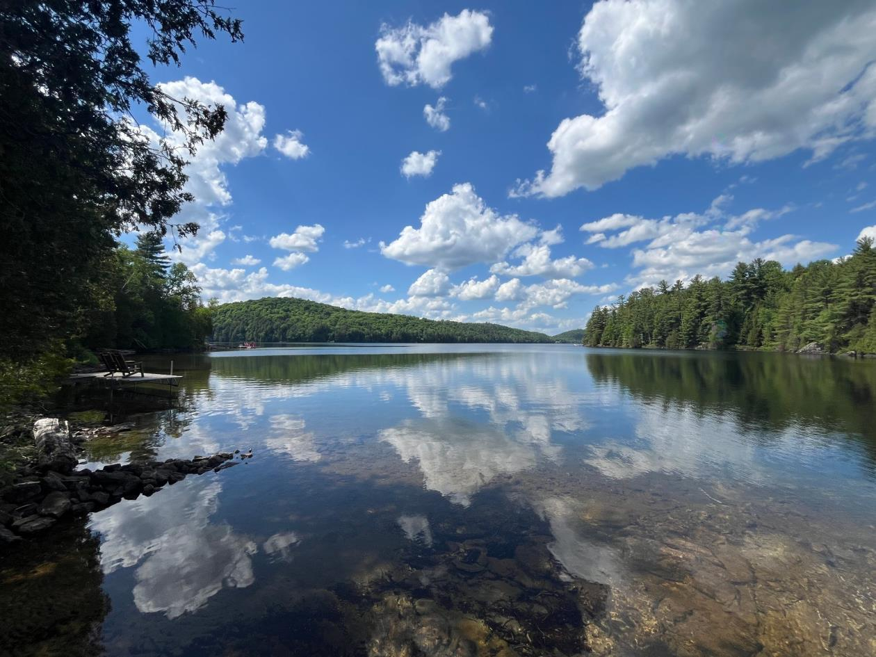 Loons at Dawn — A Lakeside Log Home Retreat