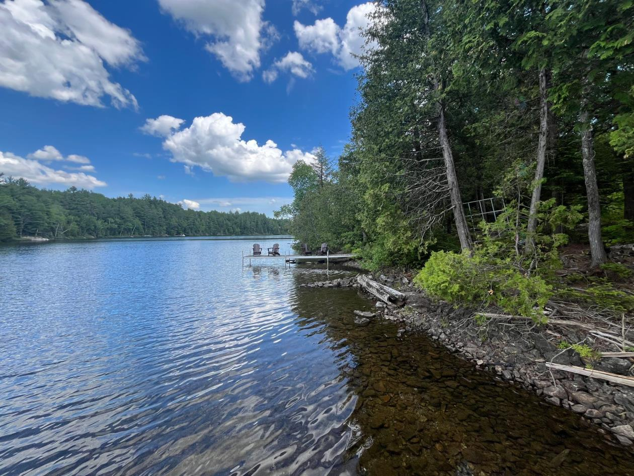 Loons at Dawn — A Lakeside Log Home Retreat