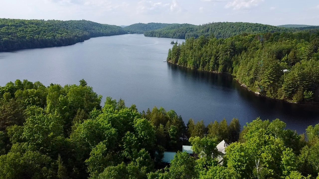 Loons at Dawn — A Lakeside Log Home Retreat