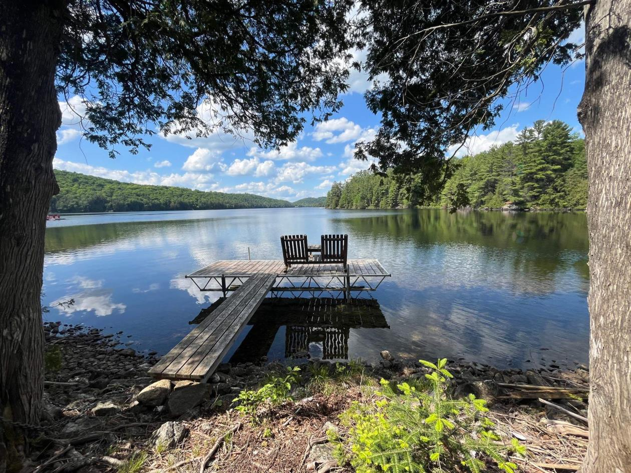 Loons at Dawn — A Lakeside Log Home Retreat