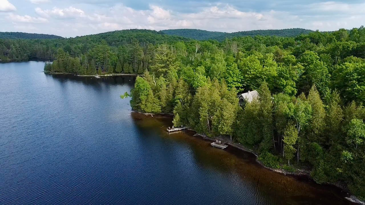 Loons at Dawn — A Lakeside Log Home Retreat