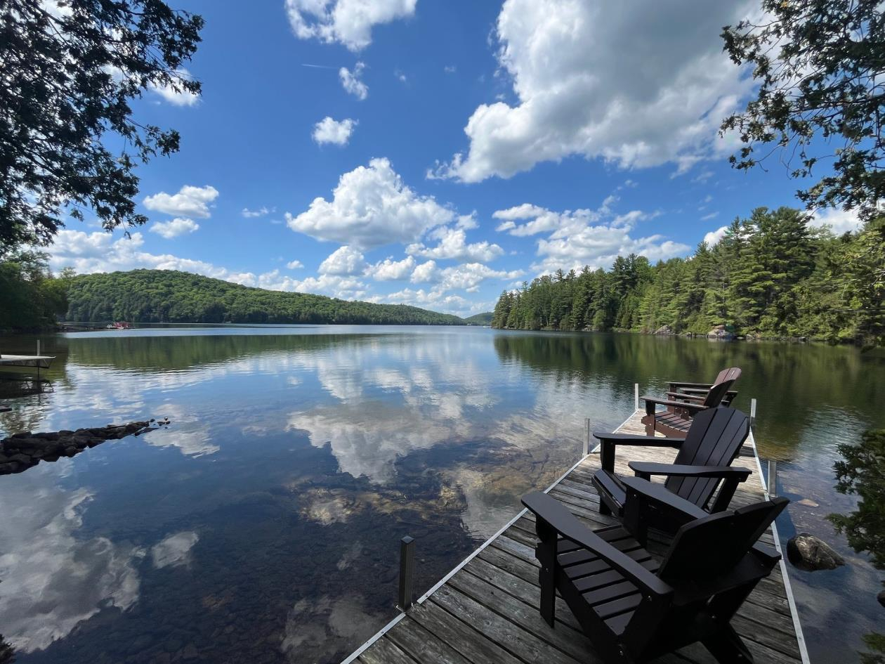 Loons at Dawn — A Lakeside Log Home Retreat