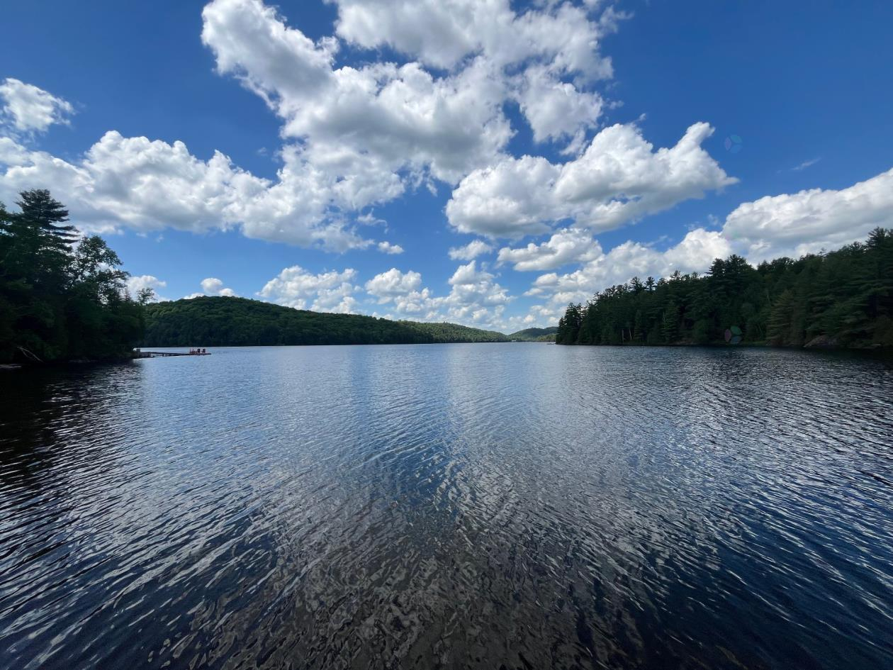 Loons at Dawn — A Lakeside Log Home Retreat