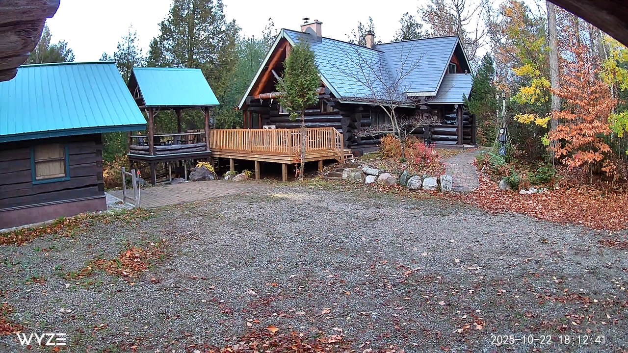 Loons at Dawn — A Lakeside Log Home Retreat