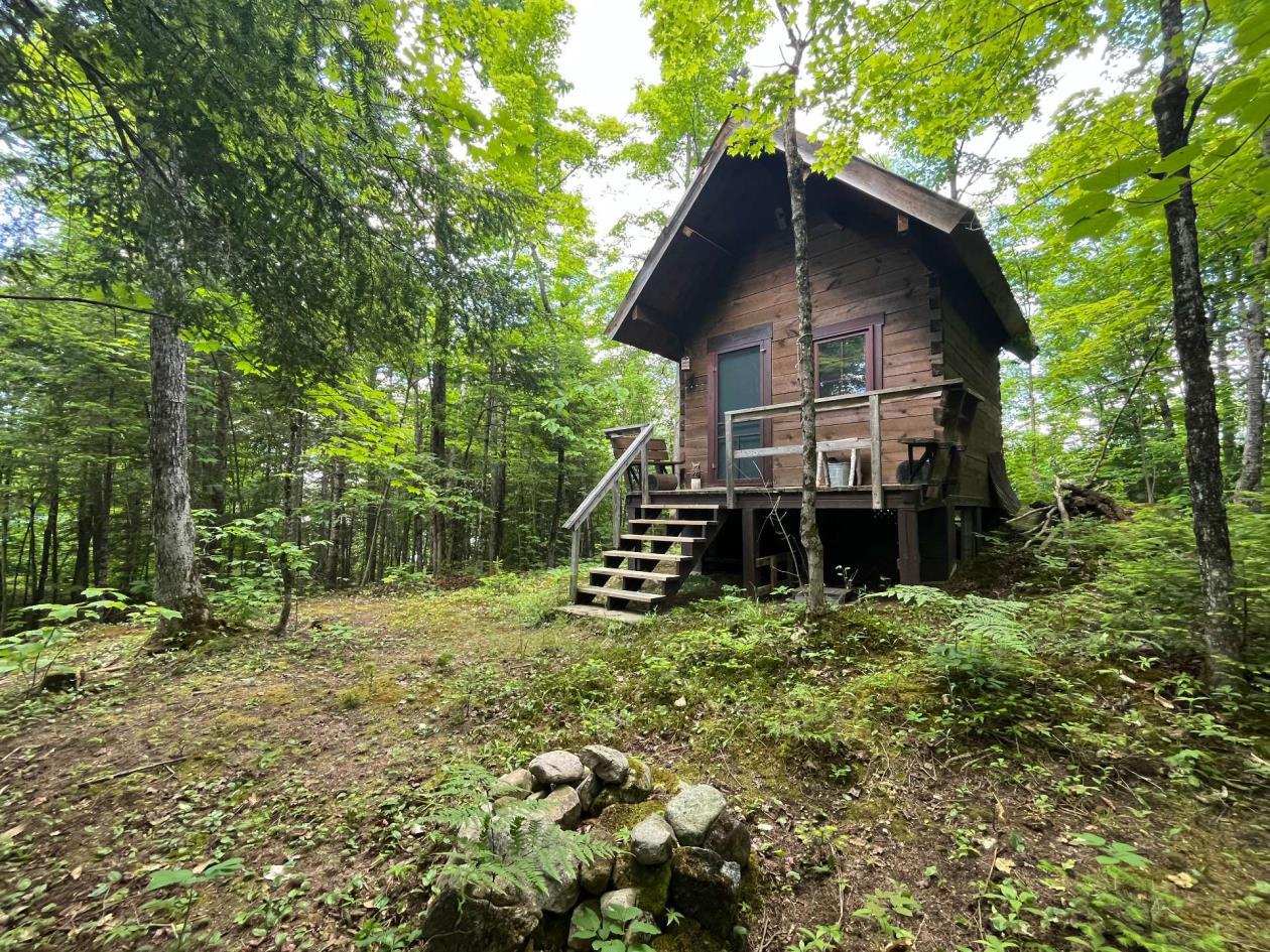 Loons at Dawn — A Lakeside Log Home Retreat