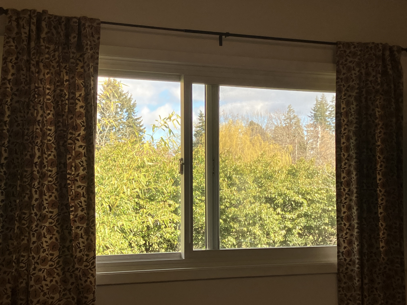 Upper home main with mountain views . Quiet family neighborhood. Peaceful surrounding.