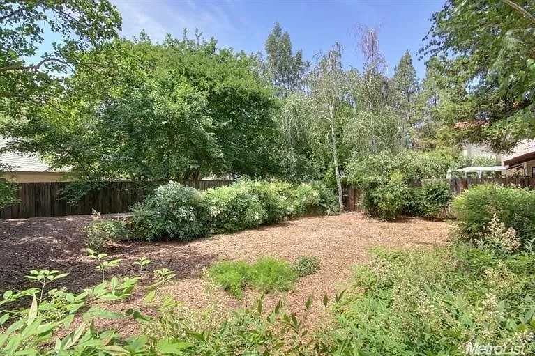 Unique Artistic House Nestled Among Redwoods and Walking Trails