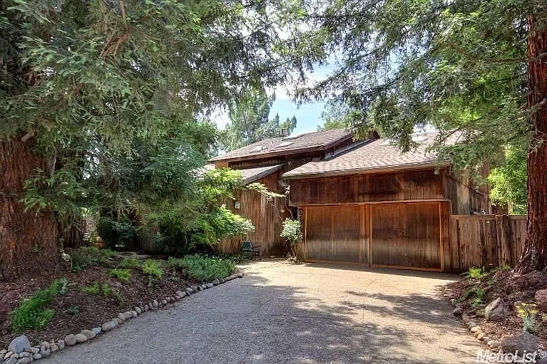 Unique Artistic House Nestled Among Redwoods and Walking Trails