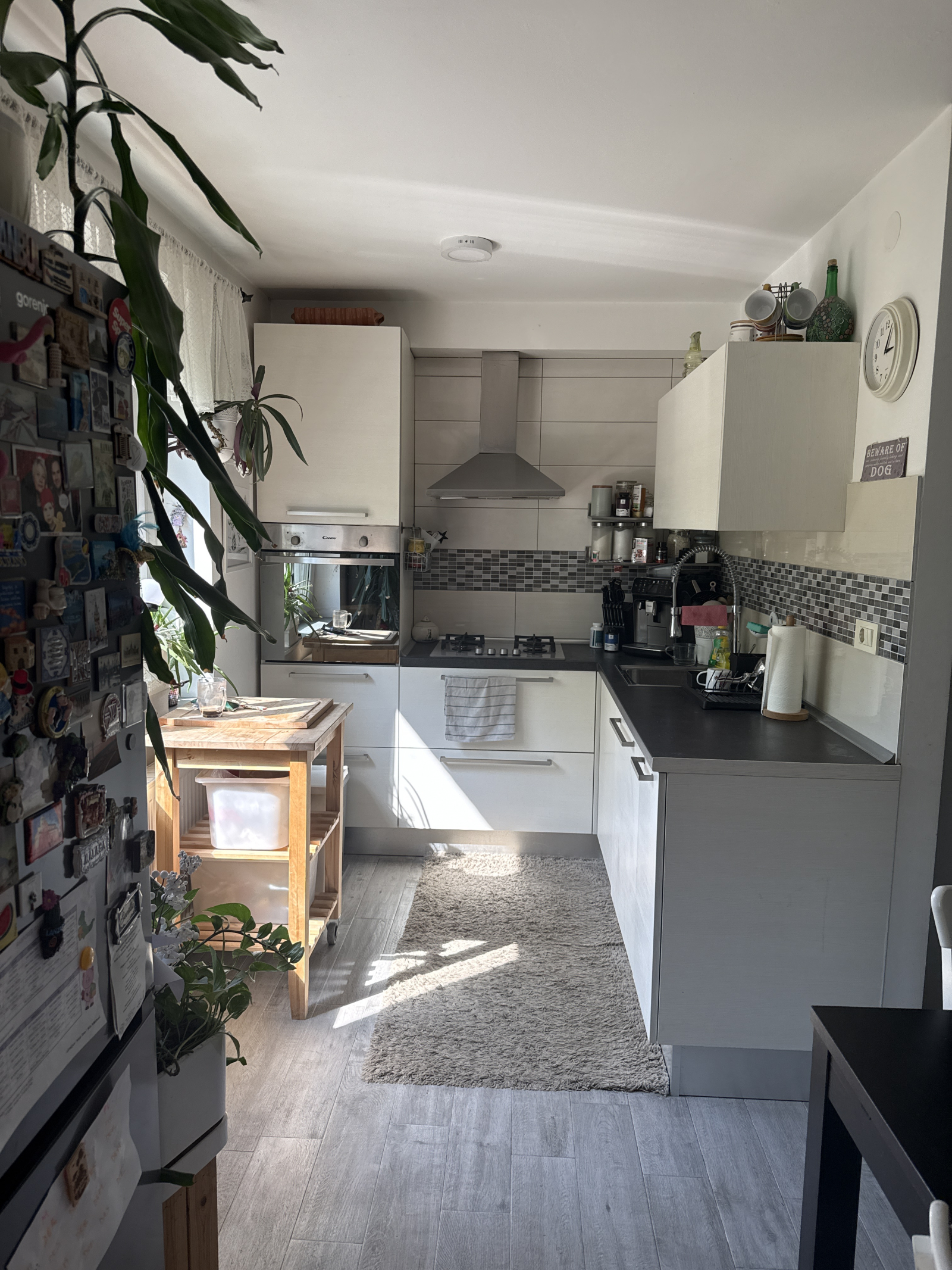 Gemütliche Wohnung