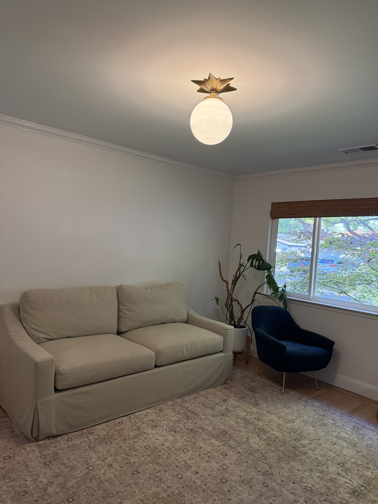 Recently Renovated 3 bedroom home in the heart of the Bay Area