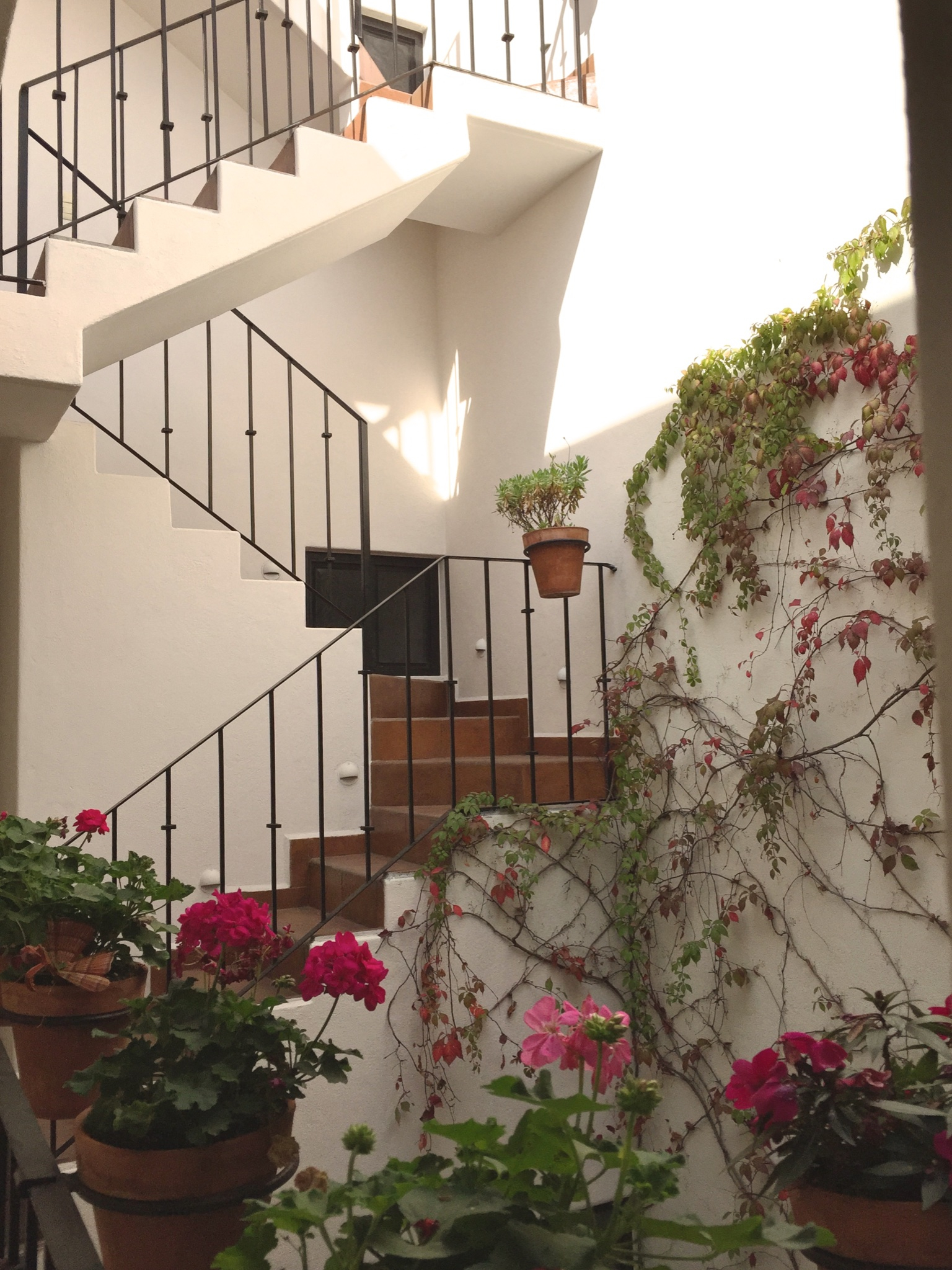 Casas Artisticas in the Historic Centro