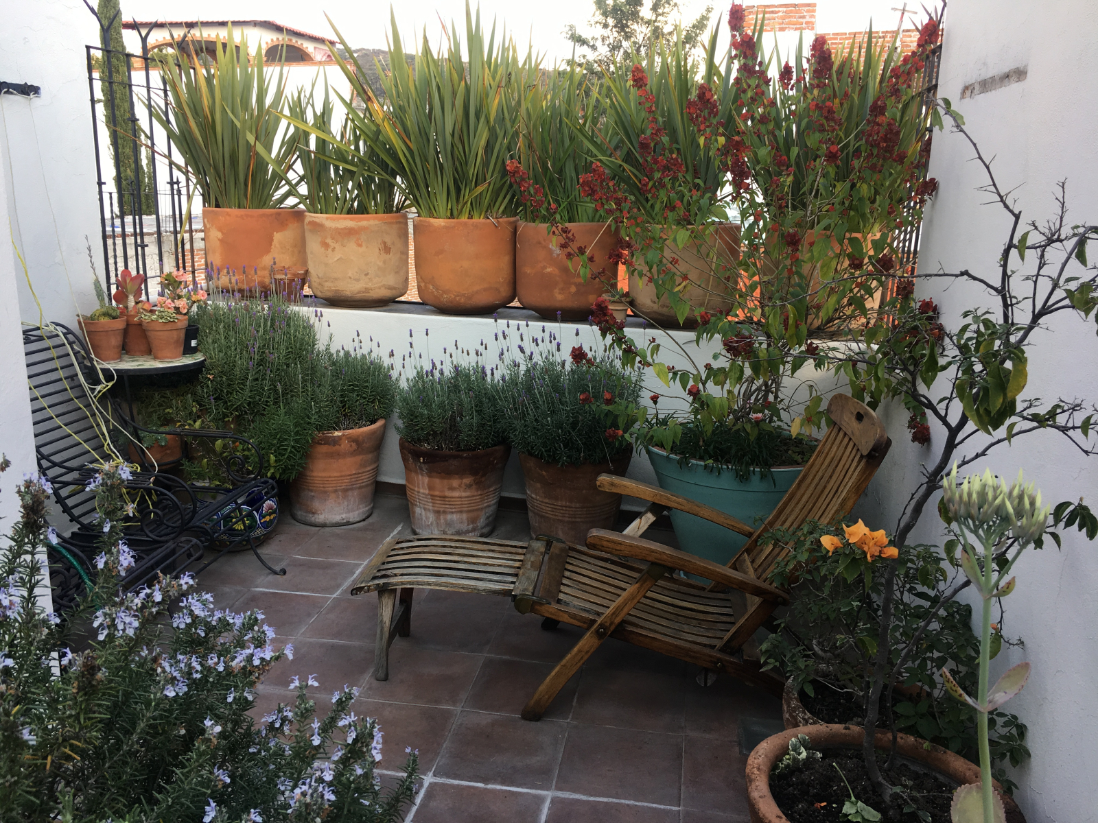 Casas Artisticas in the Historic Centro