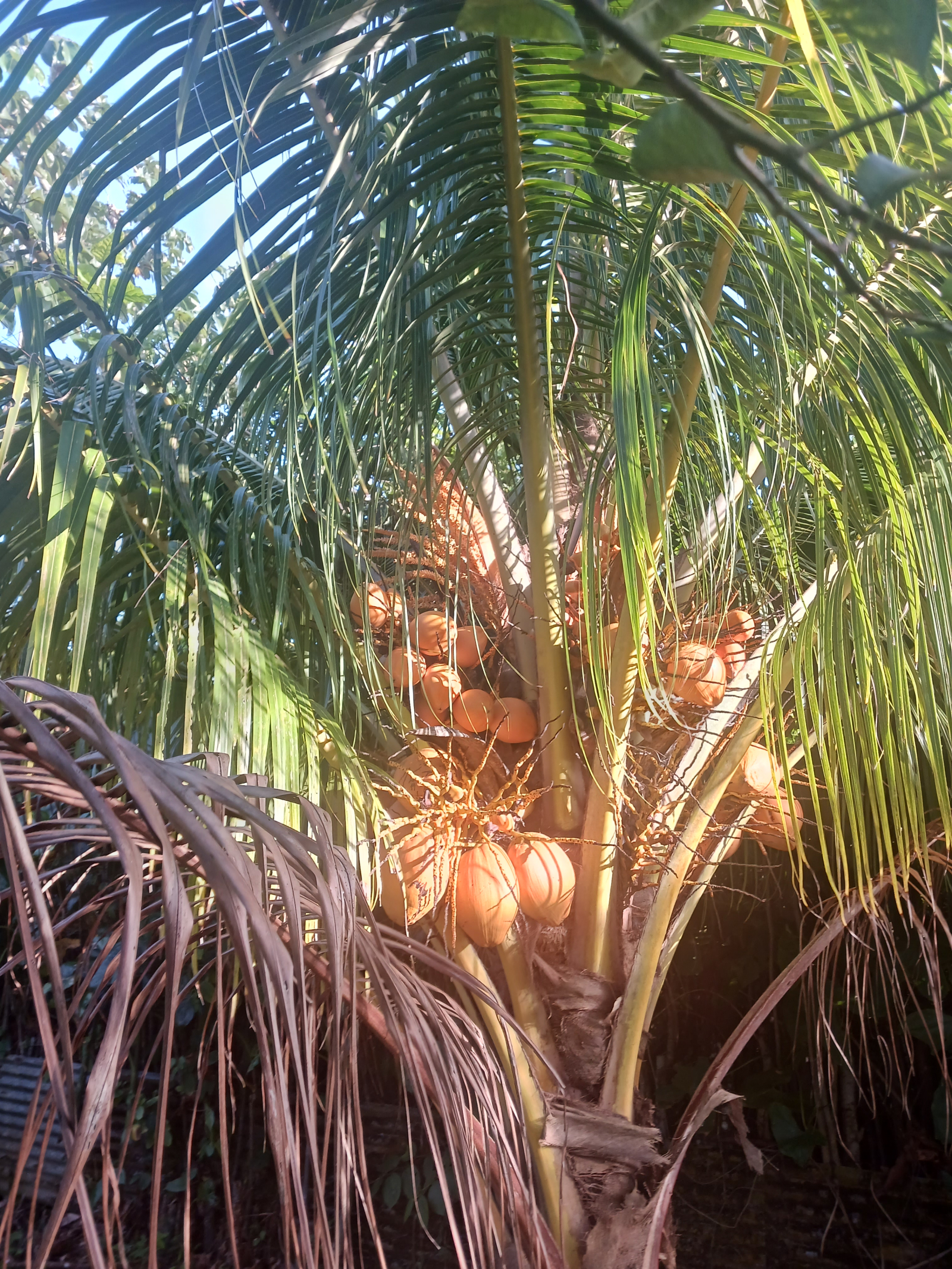 Charming house in the jungle Available July 2026