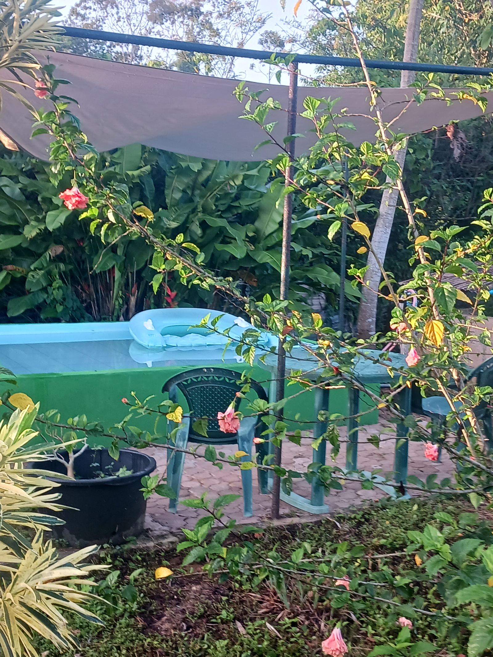 Charming house in the jungle Available July 2026