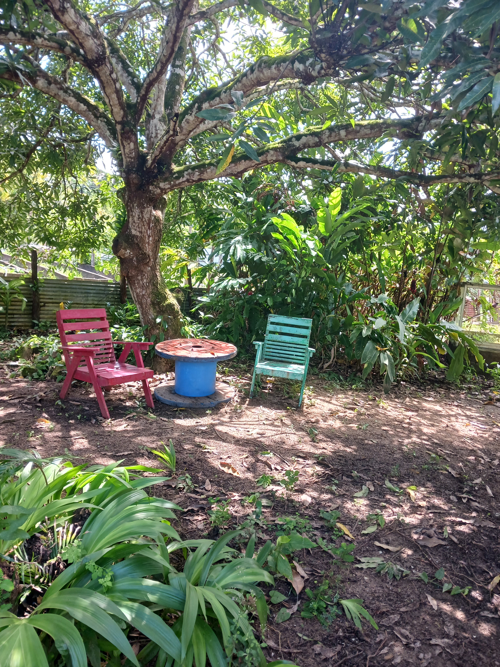 Charming house in the jungle Available July 2026