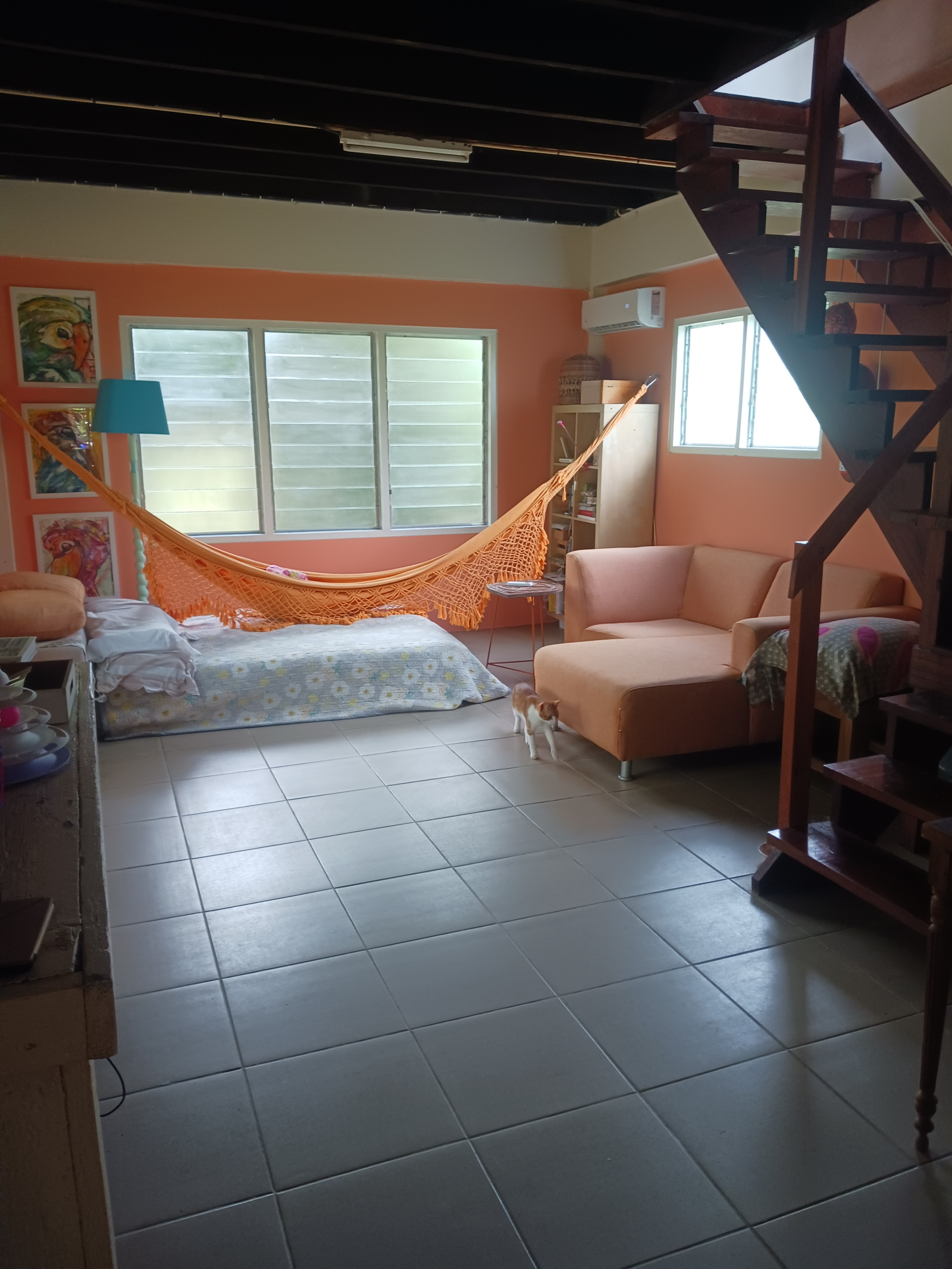 Charming house in the jungle Available July 2026