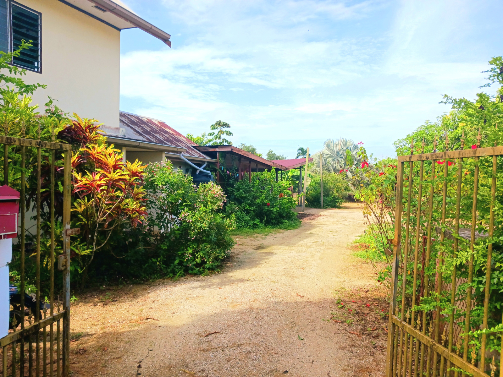 Charming house in the jungle Available July 2026