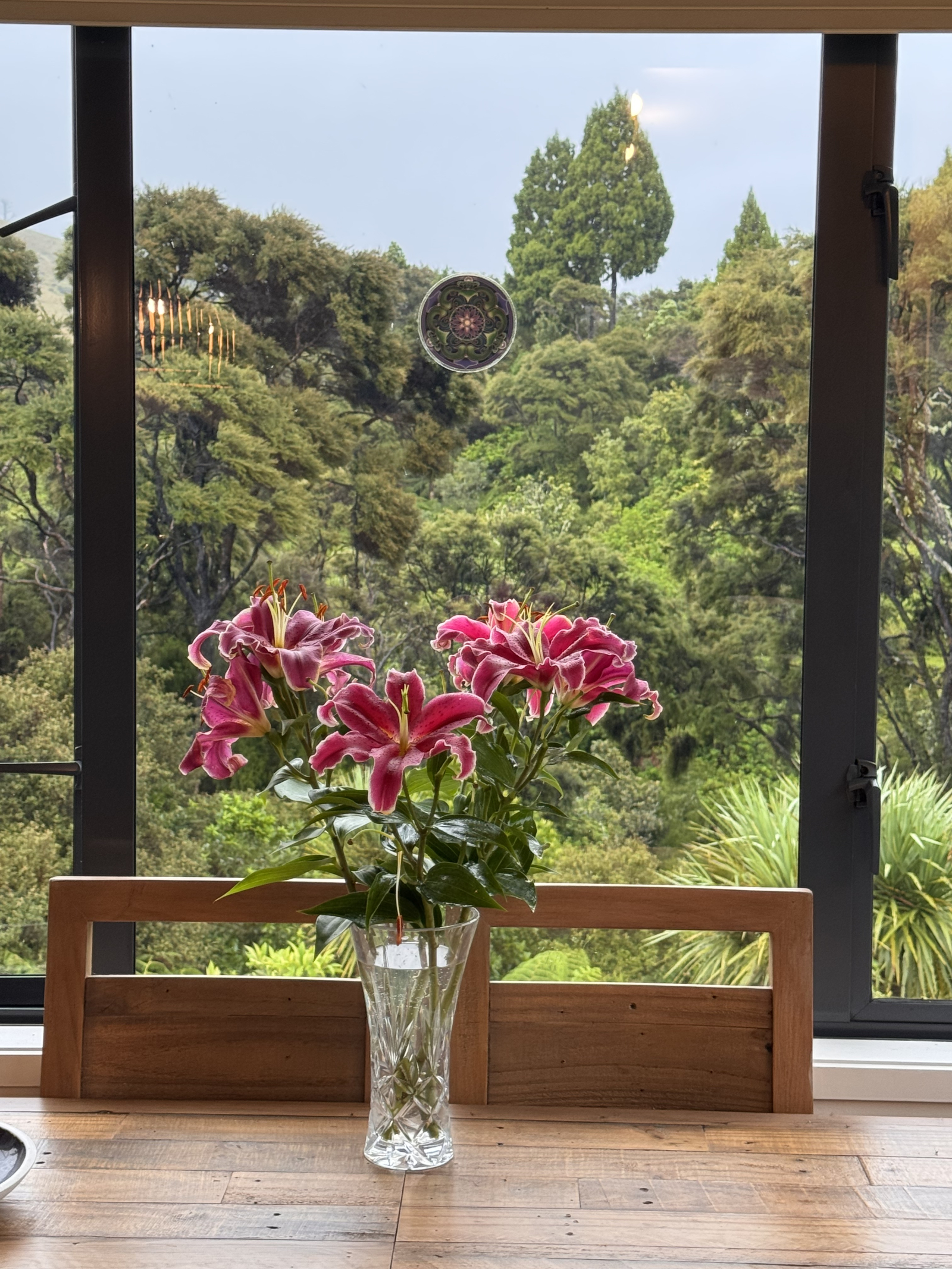 Quiet Coastal Haven with Lush Tropical Gardens