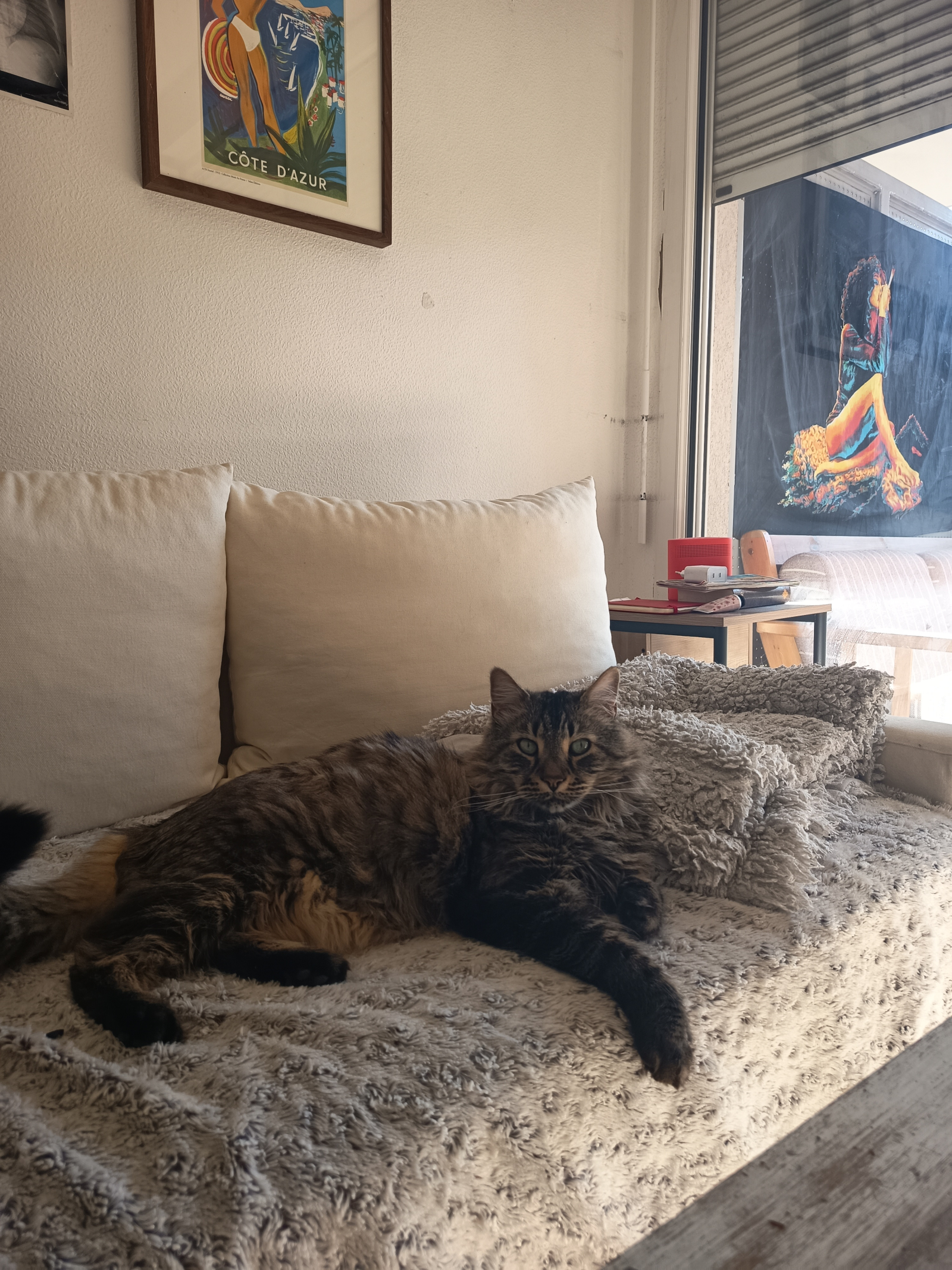 Cosy apartment in the center of Lyon