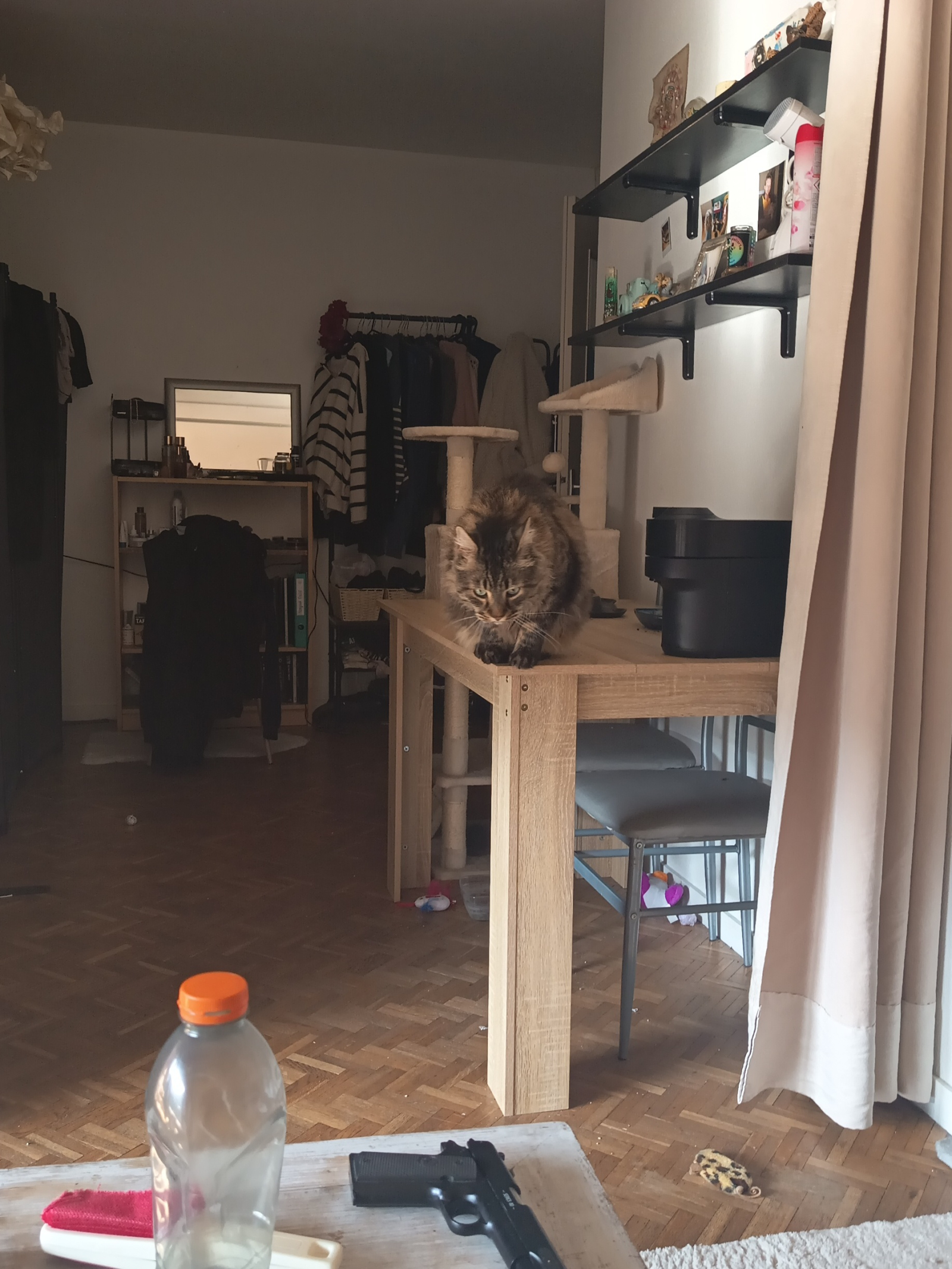 Cosy apartment in the center of Lyon
