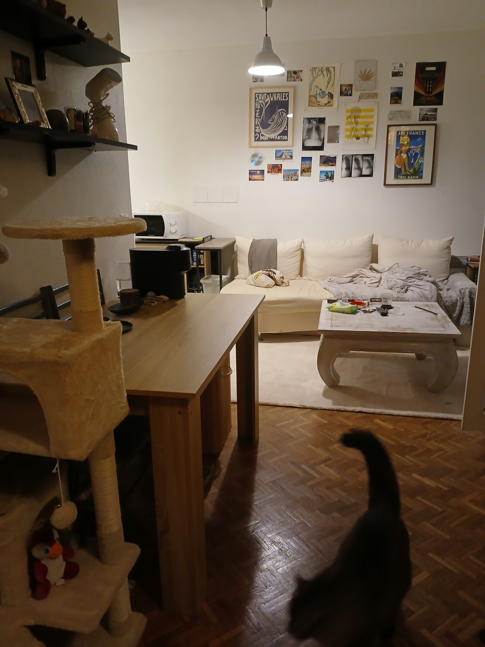 Cosy apartment in the center of Lyon