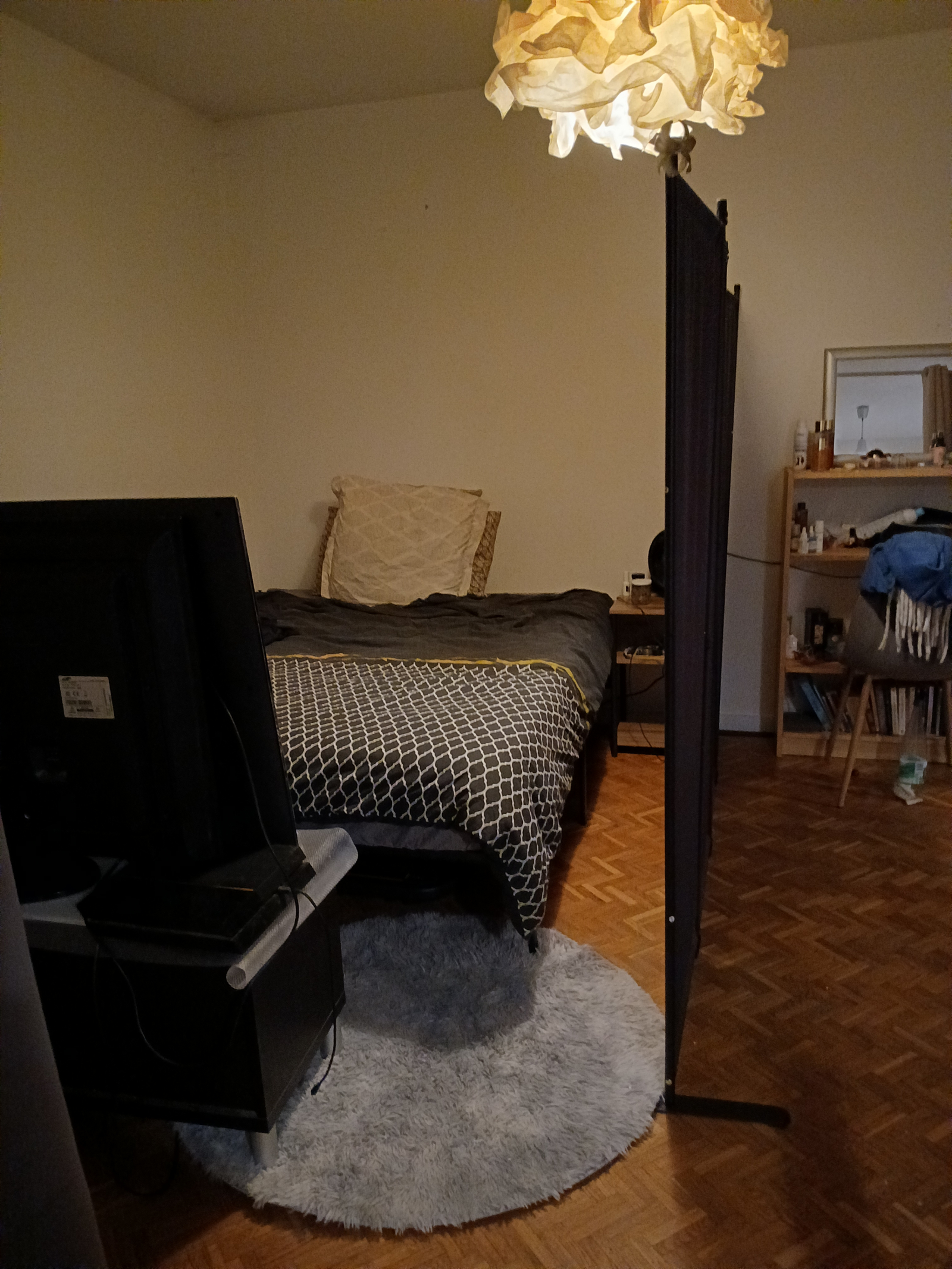 Cosy apartment in the center of Lyon