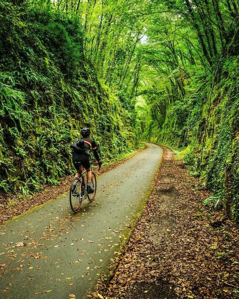 A 40km cycle path runs past the village
Une piste cyclable de 40 km longe le village