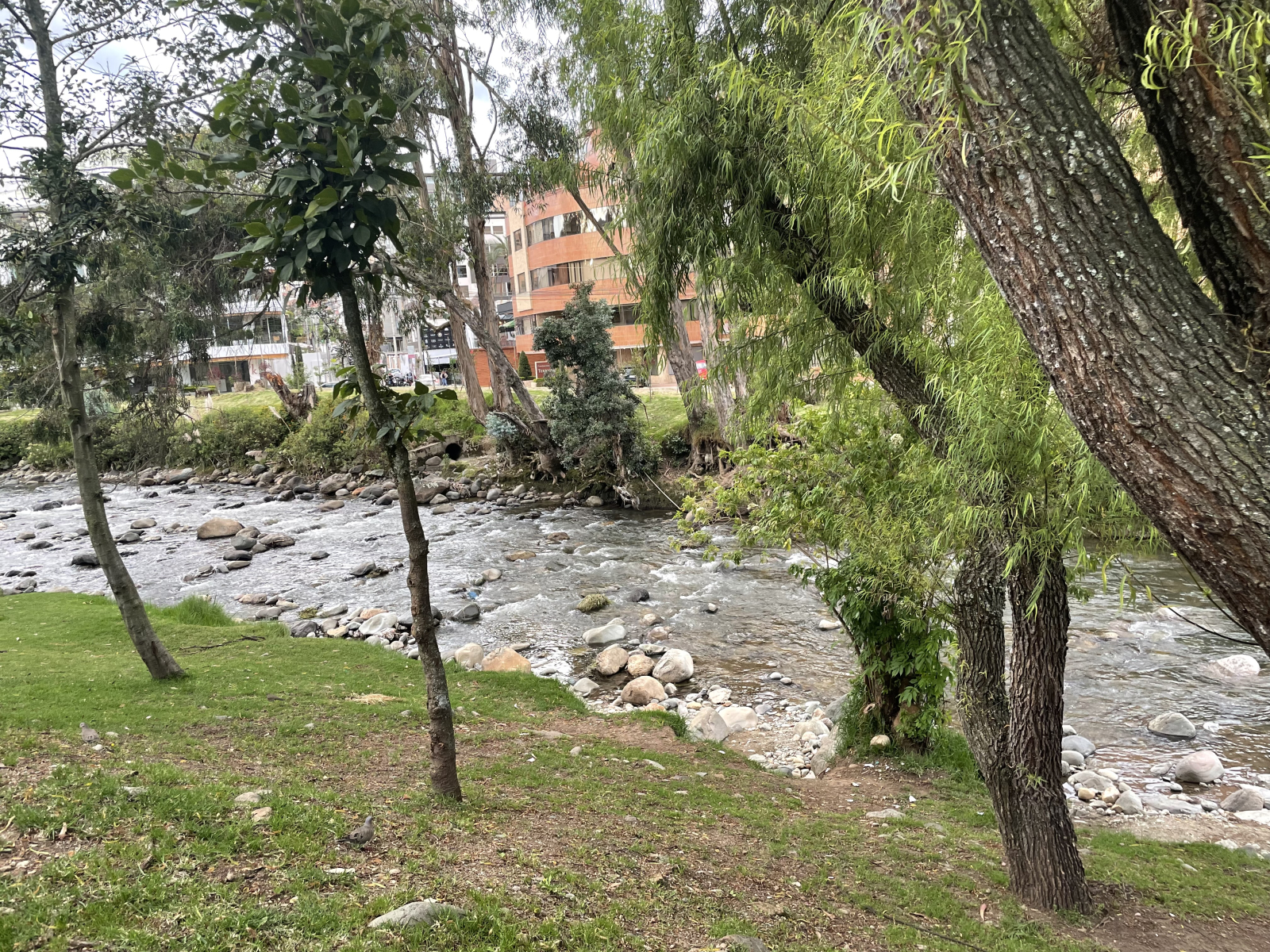 Riverfront cozy apartment with Panoramic Views in Puertas Del Sol