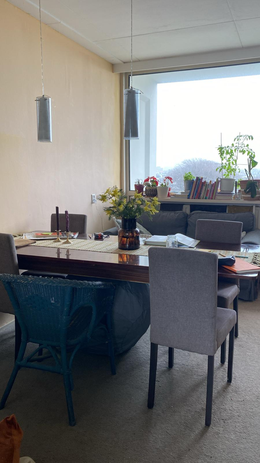 Appartement incroyablement lumineux de deux chambres au bord de la forêt et des plages